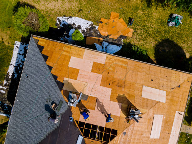 Best Roof Gutter Cleaning  in Waynesville, NC