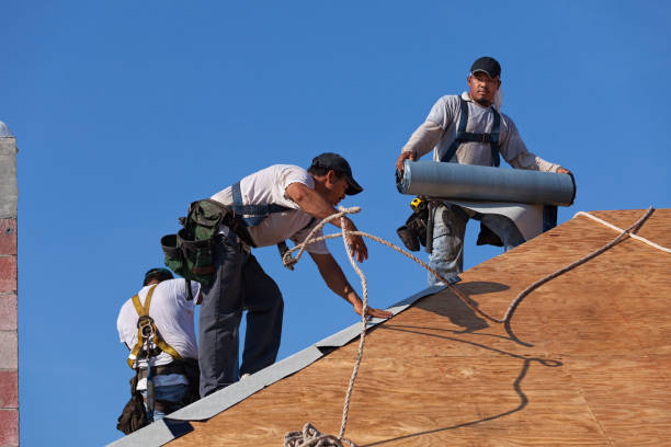 Best Roof Gutter Cleaning  in Waynesville, NC